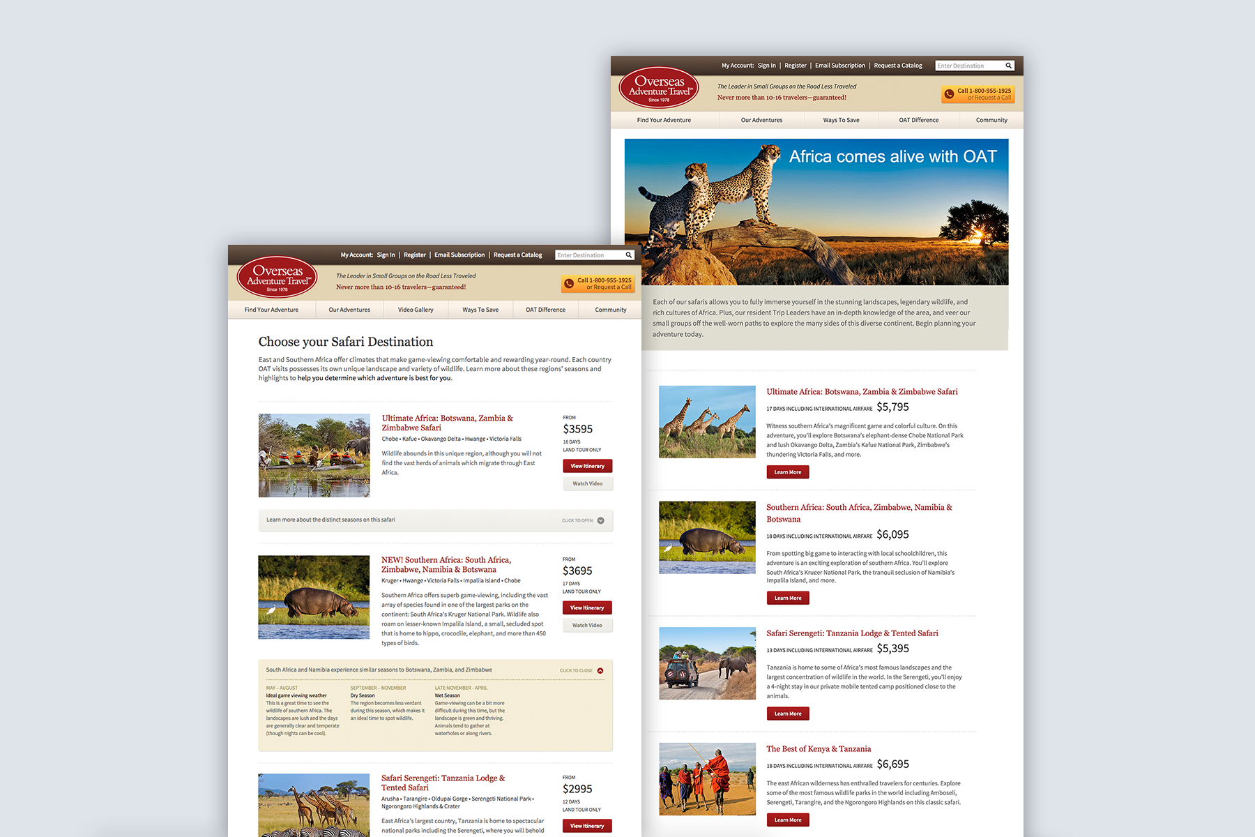 Email Marketing, Web Design, UX Design, UI Design